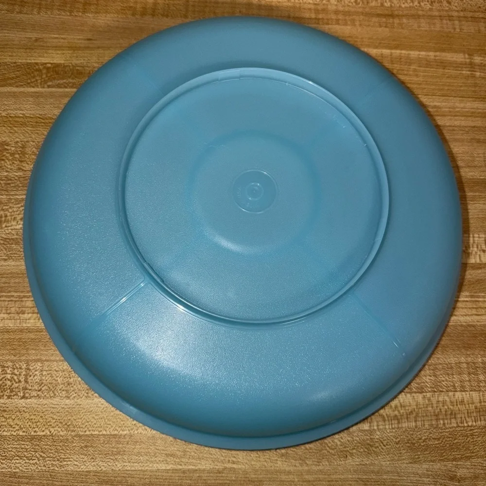 Blue Tupperware Plastic Divided Snack Tray veggie tray relish tray holiday party